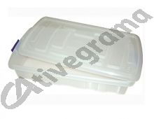 Caixa Arrumação Baixa 80x40x16cm 30L